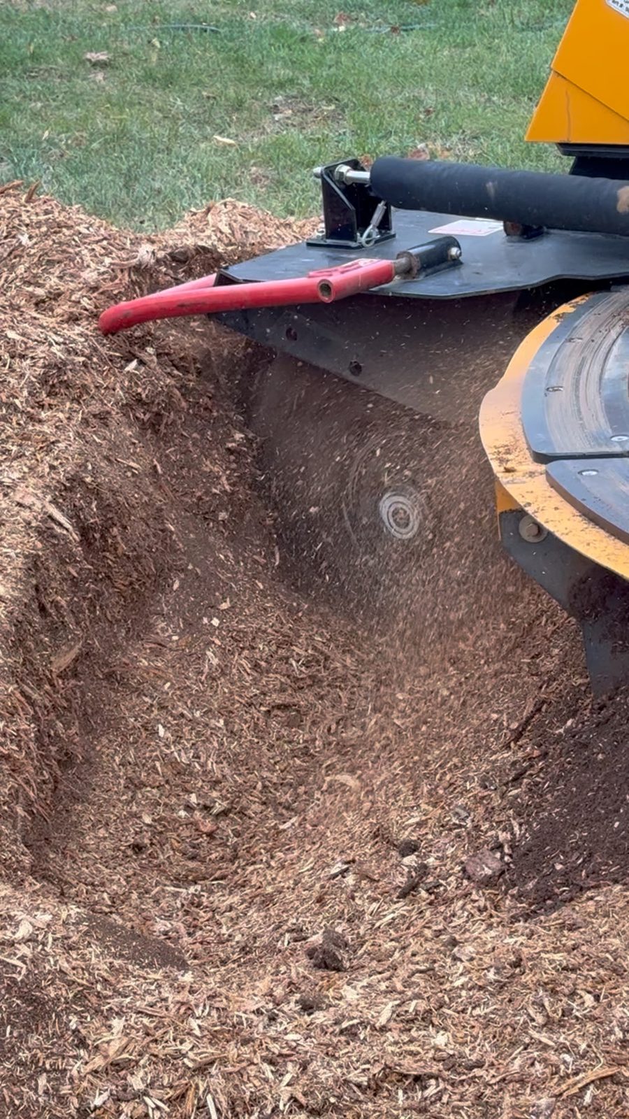 Close-up of a stump grinder cutting wheel in a freshly ground hole, with wood chips flying